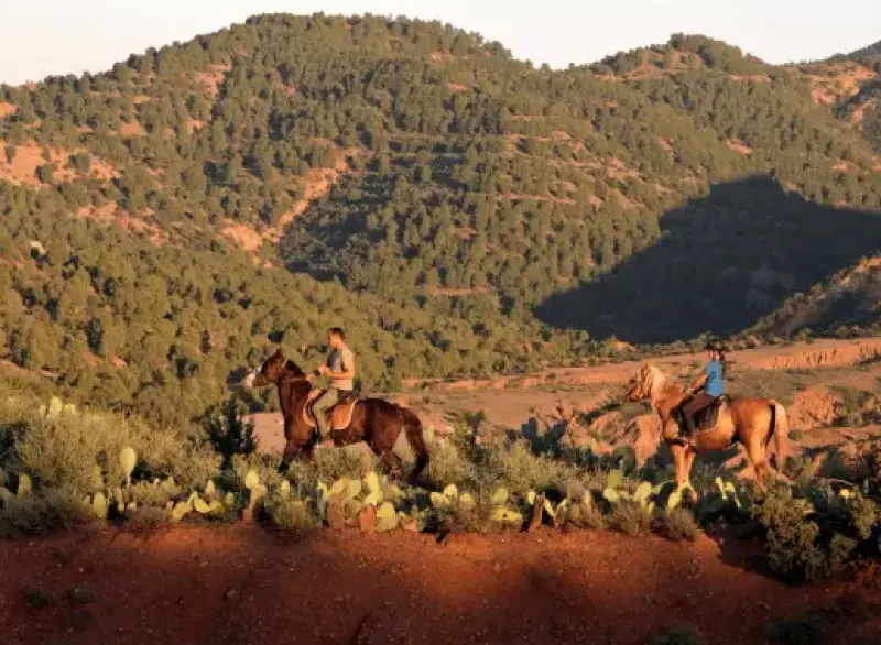 Équitation